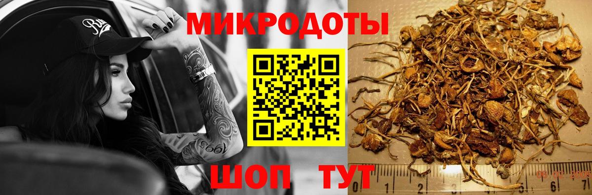 даркнет сайт  Вход с VPN  Новозыбков  Галлюциногенные грибы Psilocybine cubensis  Галлюциногенные грибы Magic Shrooms 
